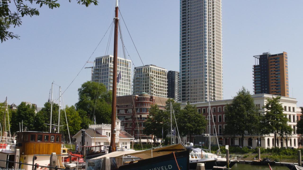 DEMO logement: 0 bedrooms for rent, 1461 Rue Saint-Marc, Montréal