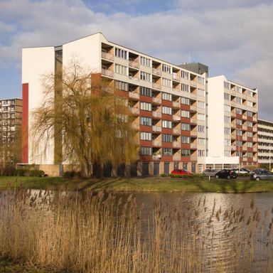 DEMO: logement with 0 - 3 bedrooms for rent, 439 Avenue Clarke, Montréal