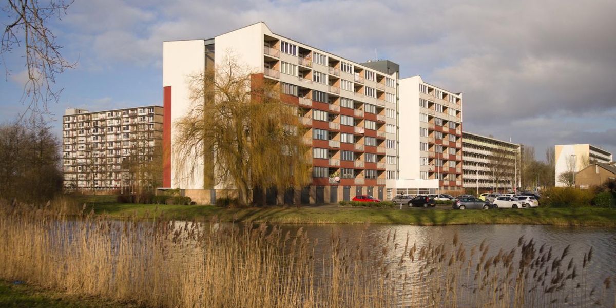 DEMO: Rent this appartement with 3 bedrooms in Montréal, 439 Avenue Clarke