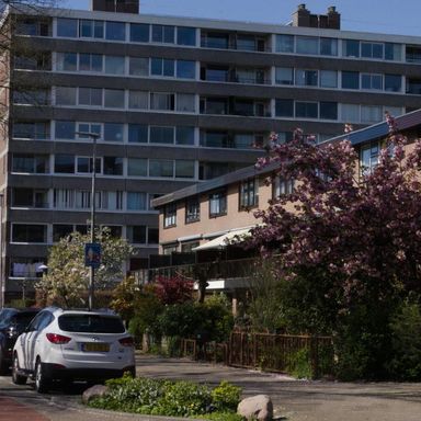 unité with 0 - 2 bedrooms for rent by DEMO, 1224 Rue Saint-Marc, Montréal