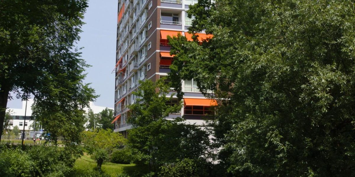 DEMO appartement: 1 bedrooms for rent, 989 Avenue Clarke, Montréal